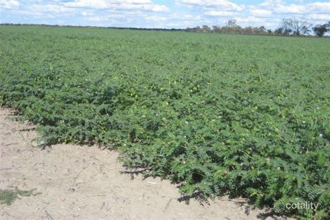 1 Llanillo Rd, Lightning Ridge, NSW 2834