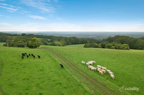 45 Murchisons Rd, Ferguson, VIC 3237