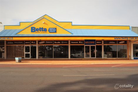 Property photo of 27A Fenton Place Wongan Hills WA 6603