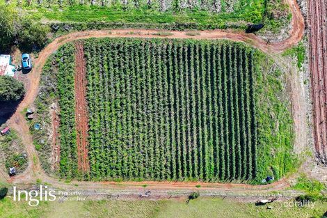 Property photo of 309 Ellis Lane Ellis Lane NSW 2570