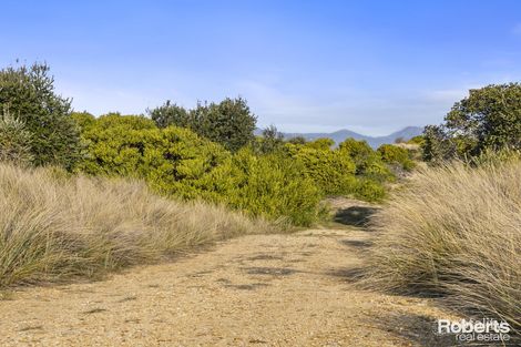 1046 Dolphin Sands Rd, Dolphin Sands, TAS 7190