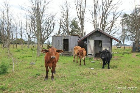 Property photo of 553 Coldstream Road Ulmarra NSW 2462