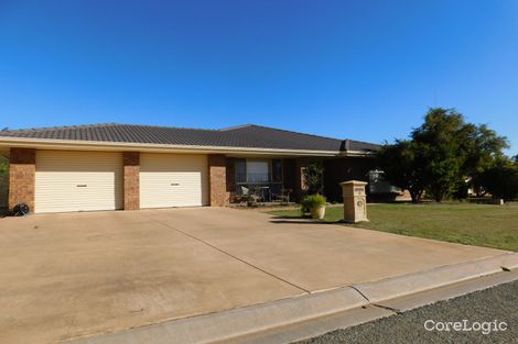 Property photo of 6 Alexandria Avenue Risdon Park South SA 5540