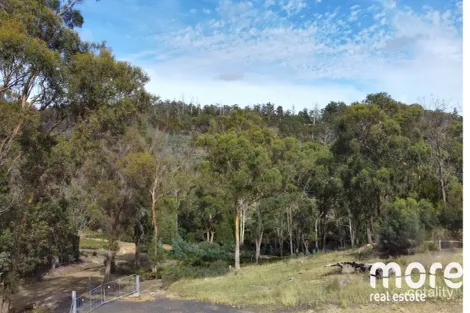 490 Molesworth Rd, Molesworth, TAS 7140