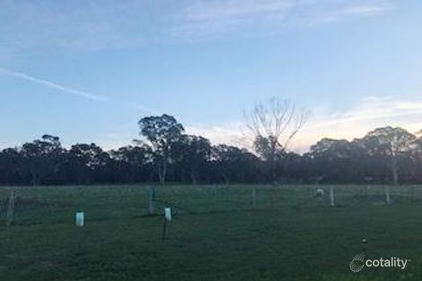 Property photo of 1 Playford Drive Naracoorte SA 5271