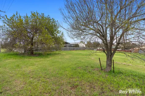 Property photo of 31 Percy Street Junee NSW 2663
