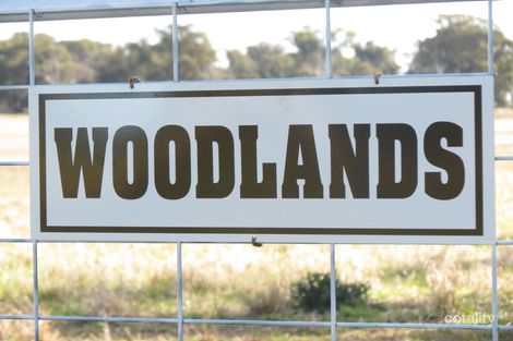 60 Springdam Rd, Springdale, NSW 2666