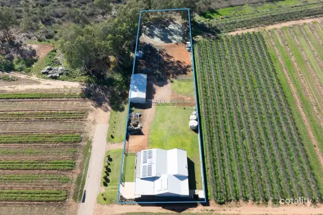 Property photo of 232 Begara Street Renmark North SA 5341