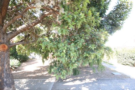 2 Avon St, Kurralta Park, SA 5037