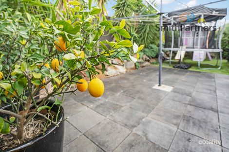 Property photo of 152 Reuben Richardson Road Greenwith SA 5125