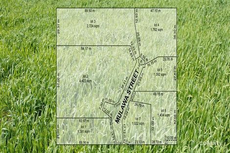 3/36 Mulawa St, Croydon North, VIC 3136