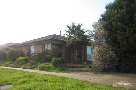 Property photo of 1/1 Pinnaroo Circuit Meadow Heights VIC 3048