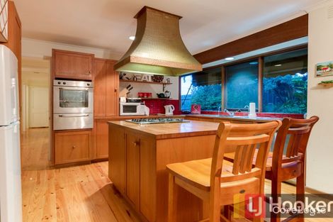 Property photo of 11 Dampier Court Endeavour Hills VIC 3802