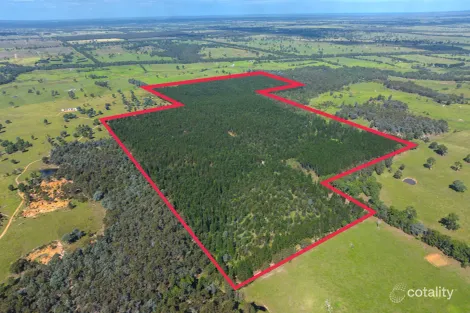 Duggans Rd, Stratford, VIC 3862