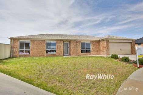 Property photo of 4 Harvard Court Mildura VIC 3500