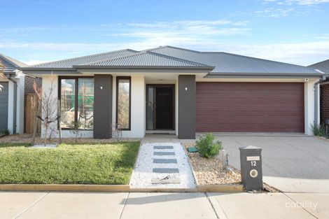 12 Ashwell Ave, Williams Landing, VIC 3027