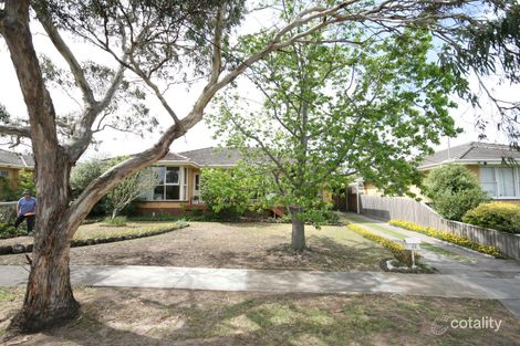44 Cambra Rd, Belmont, VIC 3216