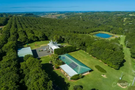 153 Fletcher Rd, Dunoon, NSW 2480