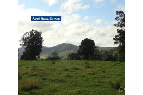 393 Gorge Creek Rd, Grevillia, NSW 2474