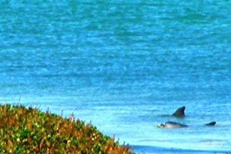 5 Jones St, Ledge Point, WA 6043