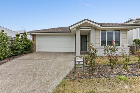 37 Hardwood St, Spring Mountain, QLD 4300