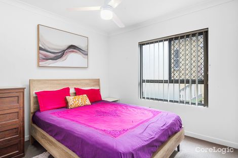 Property photo of 1/17 Alma Road Clayfield QLD 4011