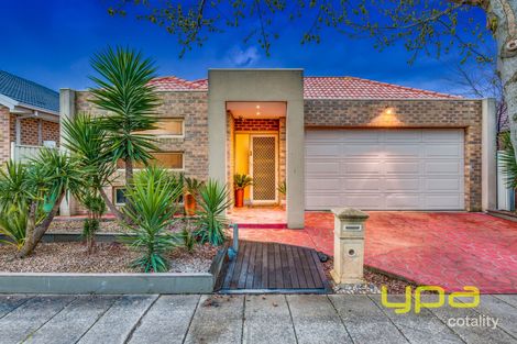 8 Durban Pl, Craigieburn, VIC 3064