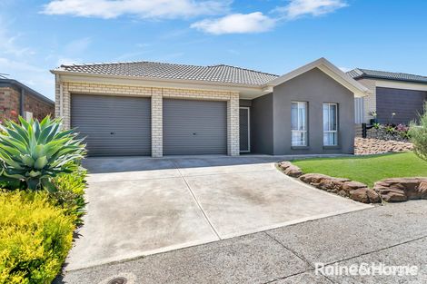 Property photo of 6 Tristania Rise Huntfield Heights SA 5163