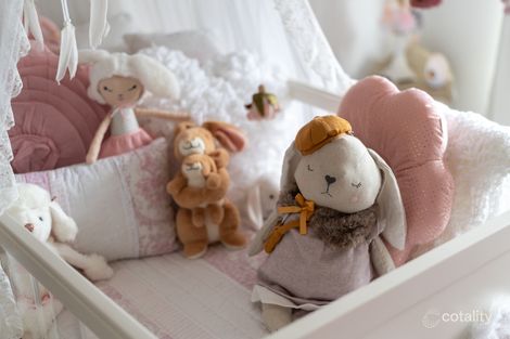 Property photo of 3/36 John Holt Street Macgregor ACT 2615