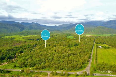 Property photo of 53 Barrett Road Mutarnee QLD 4816