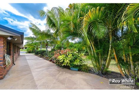 Property photo of 25 Goldfinch Drive Parkhurst QLD 4702