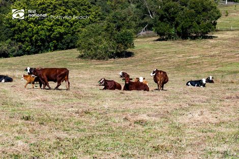 487 Wardrop Valley Rd, Fernvale, NSW 2484