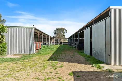 Property photo of 45 Honniball Drive Tocumwal NSW 2714