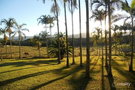 Property photo of 206 Euluma Creek Road Julatten QLD 4871