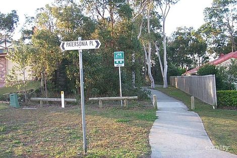 20 Patersonia Pl, Birkdale, QLD 4159