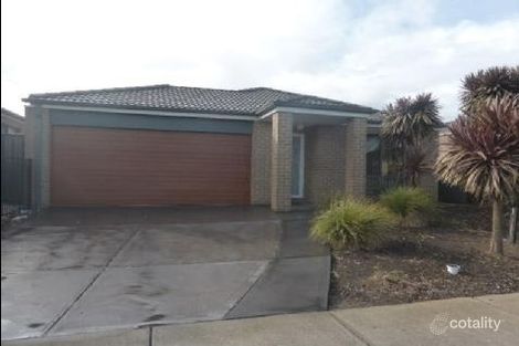 Property photo of 24 Blue Jay Crescent Tarneit VIC 3029