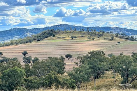 535 Black Gully Rd, Werris Creek, NSW 2341