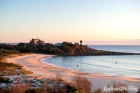 Property photo of 53 Malibu Drive Bawley Point NSW 2539
