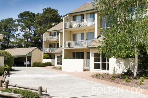 8/4 Antis St, Phillip, ACT 2606