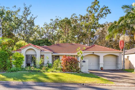 12 Zac Ave, Coombabah, QLD 4216