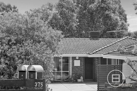 Property photo of 375B Albert Street Balcatta WA 6021
