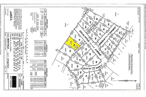 19 Eucalyptus Ave, Lammermoor, QLD 4703