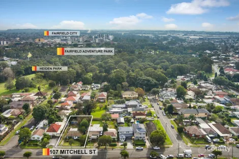 Property photo of 107 Mitchell Street Carramar NSW 2163