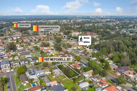 Property photo of 107 Mitchell Street Carramar NSW 2163