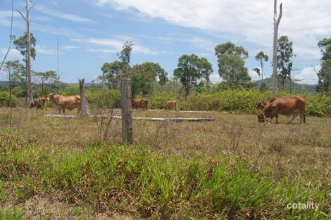 7 Crupi Rd, El Arish, QLD 4855