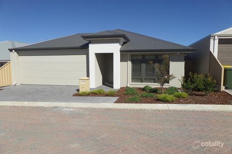 Property photo of 7 Vitis Chase Ashby WA 6065