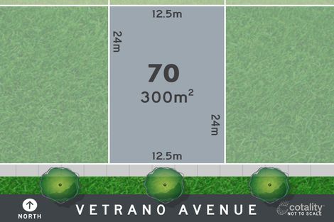 11 Vetrano Ave, Alfredton, VIC 3350