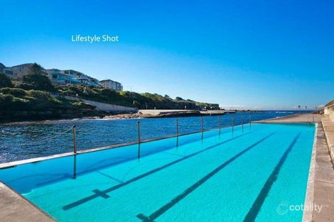 Property photo of 6/44-46 Melrose Parade Clovelly NSW 2031