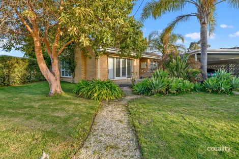 Property photo of 28 Maxwell Street Shepparton VIC 3630