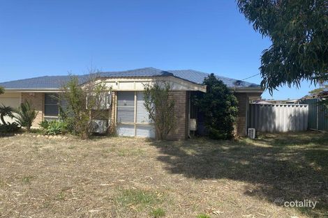 Property photo of 34 Cunningham Loop Mirrabooka WA 6061